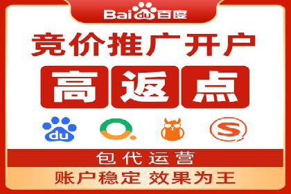 成功案例：百度推广代理助力电商突破